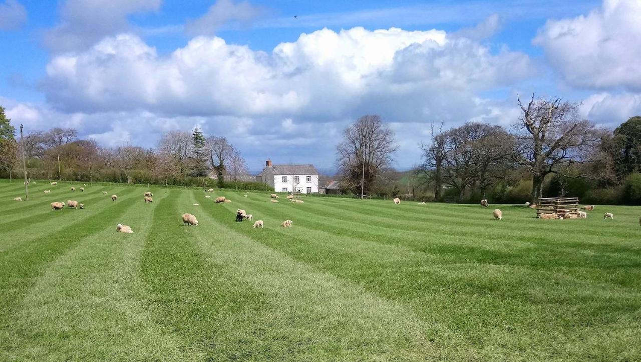 Lovaton Farmhouse Okehampton Extérieur photo
