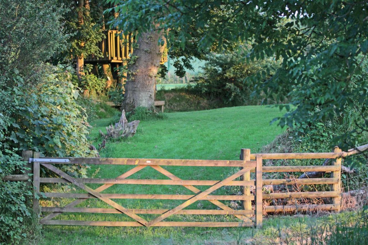 Lovaton Farmhouse Okehampton Extérieur photo