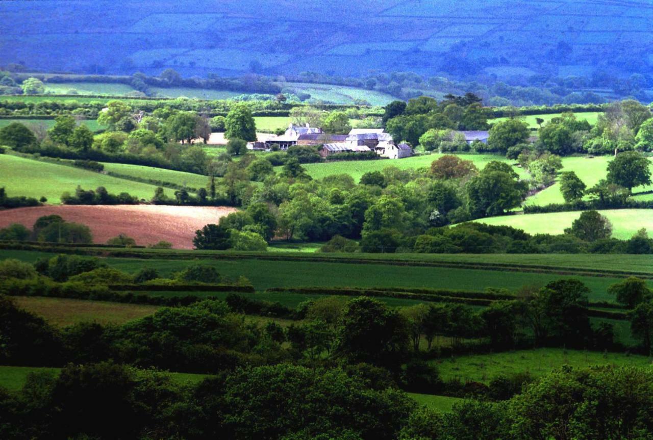 Lovaton Farmhouse Okehampton Extérieur photo
