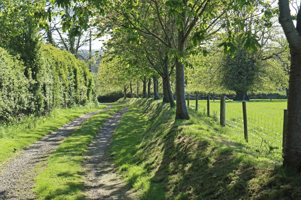 Lovaton Farmhouse Okehampton Extérieur photo